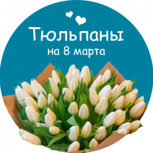 Купить тюльпаны в Кстово